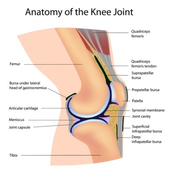 Arthroscopic Partial Knee Replacement by OrangeCountySurgeons